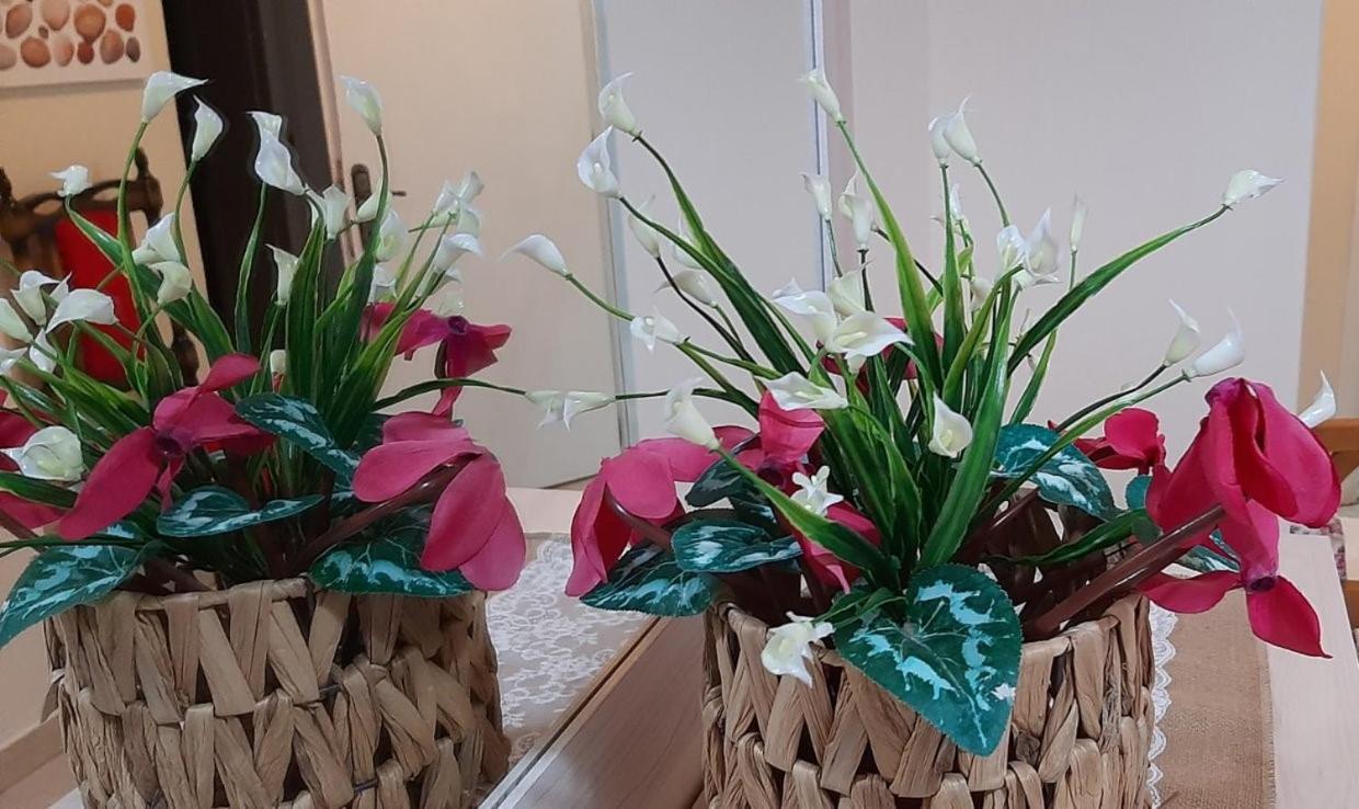 Evelyn Home Liménasz Kültér fotó